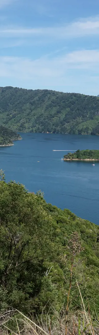 Picton: das Tor zur Südinsel